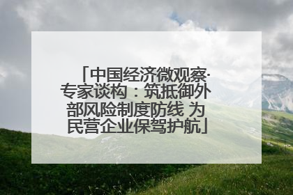中国经济微观察·专家谈构：筑抵御外部风险制度防线 为民营企业保驾护航